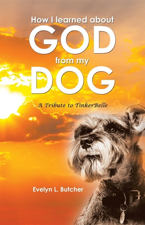 How I learned about GOD from my DOG: A Tribute to TinkerBelle (Paperback)