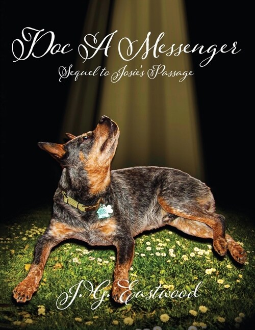Doc A Messenger: Sequel to Josies Passage (Paperback)