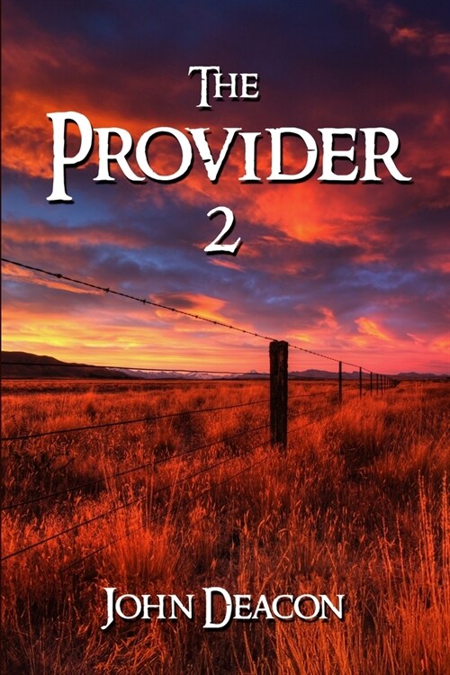 The Provider 2 (Paperback)