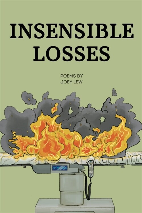 Insensible Losses (Paperback)