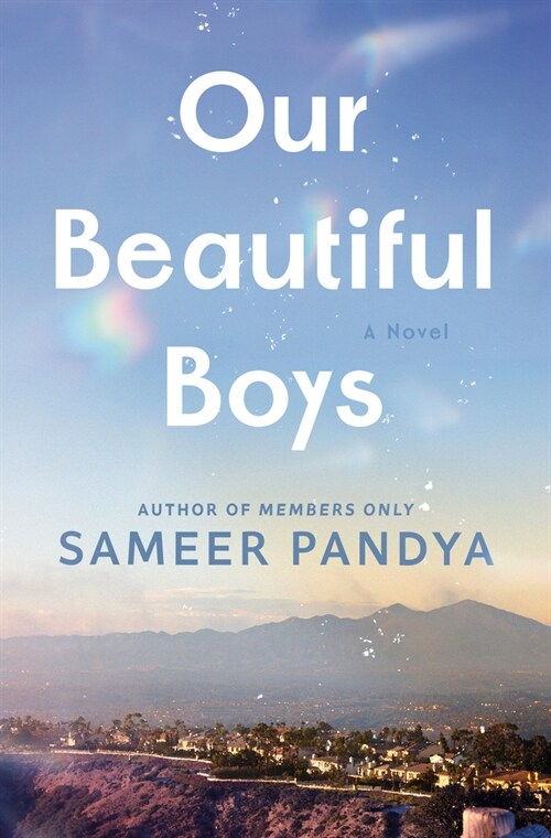 Our Beautiful Boys (Hardcover)