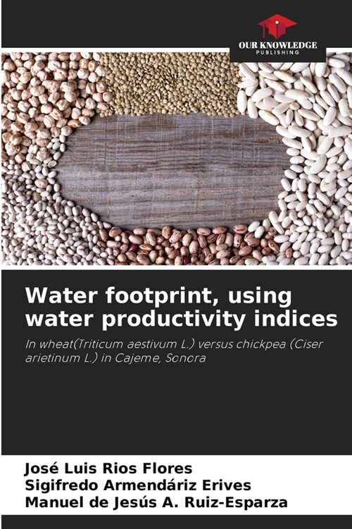 Water footprint, using water productivity indices (Paperback)