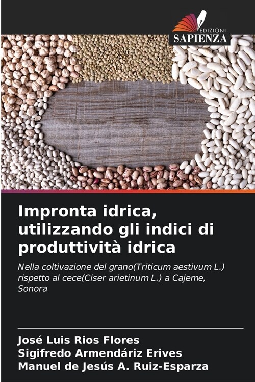 Impronta idrica, utilizzando gli indici di produttivit?idrica (Paperback)