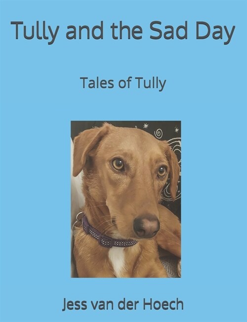 Tully and the Sad Day (Paperback)