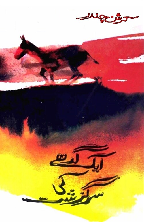 Aik gadhe ki sarguzasht (Paperback)