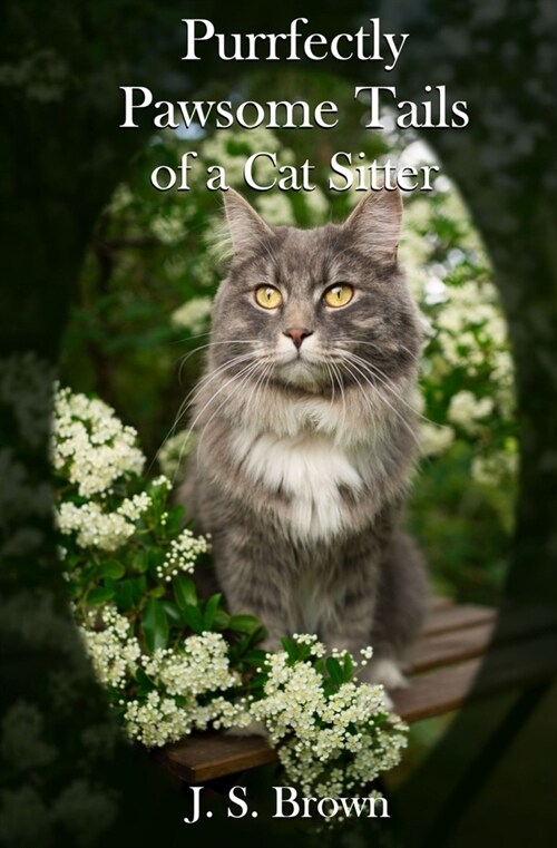 Purrfectly Pawsome Tails of a Cat Sitter (Paperback)