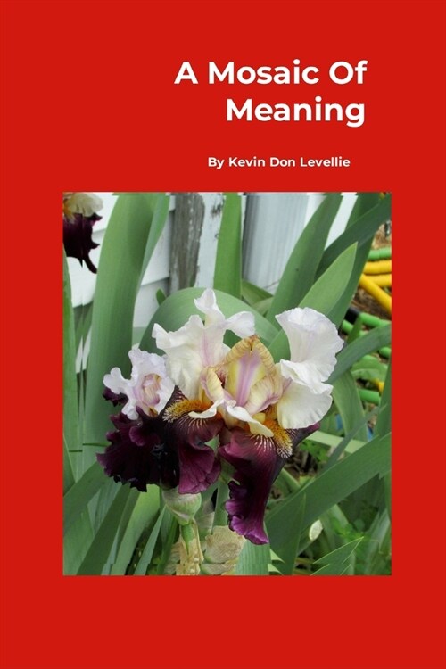 A Mosaic Of Meaning (Paperback)