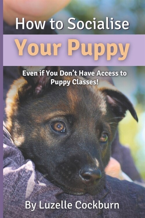 How to Socialise Your Puppy: Even if you dont have access to puppy classes! (Paperback)