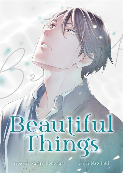 Beautiful Things: The Complete Manga Collection (Paperback)