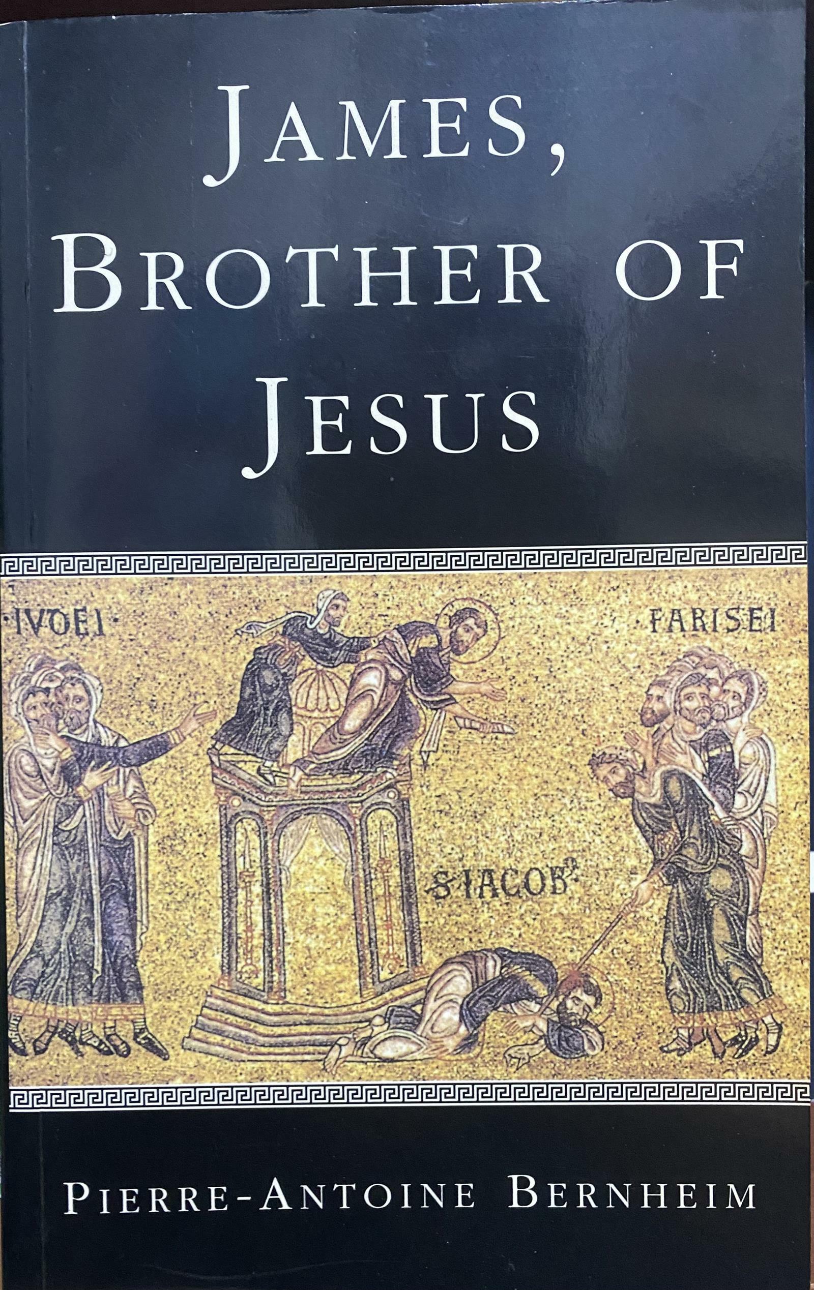 [중고] James, the Brother of Jesus (Paperback)