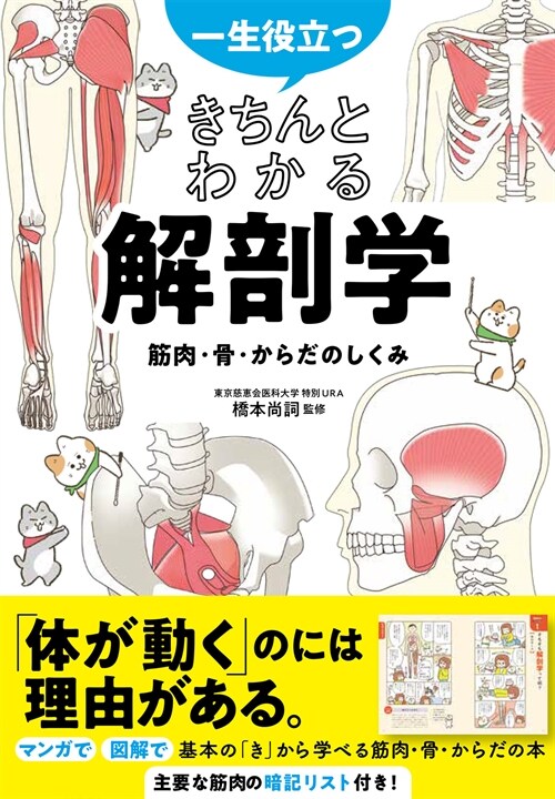 一生役立つきちんとわかる解剖學 筋肉·骨·からだのしくみ