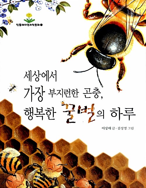 세상에서 가장 부지런한 곤충, 행복한 꿀벌의 하루