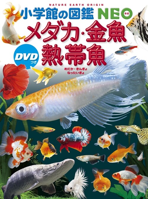 メダカ·金魚·熱帶魚