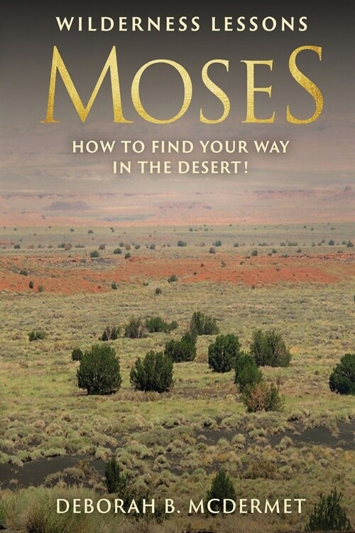 Moses: Wilderness Lessons (How to Find Your Way in the Desert! (Paperback)
