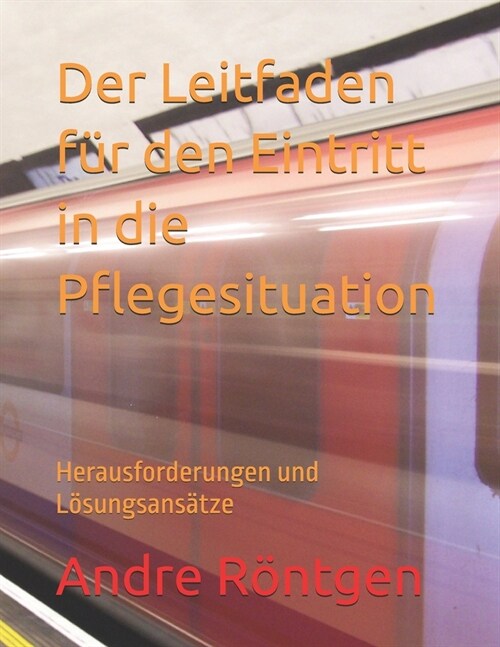 Der Leitfaden f? den Eintritt in die Pflegesituation: Herausforderungen und L?ungsans?ze (Paperback)