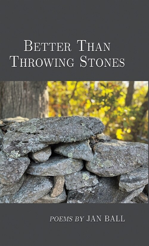 Better Than Throwing Stones (Hardcover)