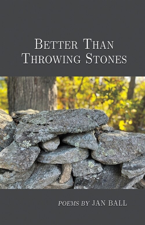 Better Than Throwing Stones (Paperback)