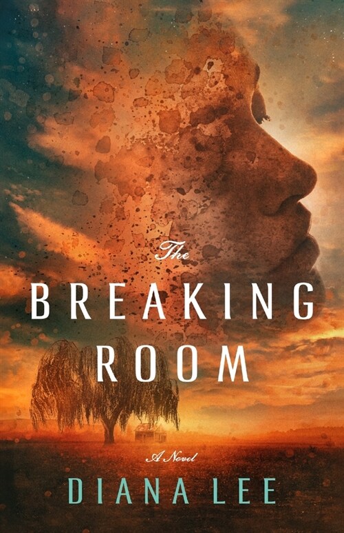 The Breaking Room (Paperback)