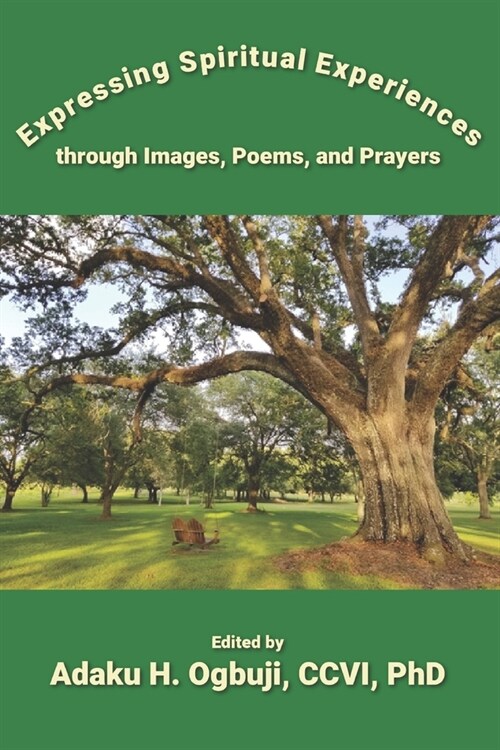 Expressing Spiritual Experiences through Images, Poems, and Prayers (Paperback)