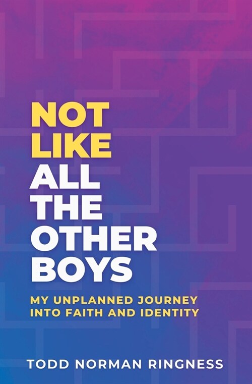 Not Like All the Other Boys: My Unplanned Journey Into Faith and Identity (Paperback)