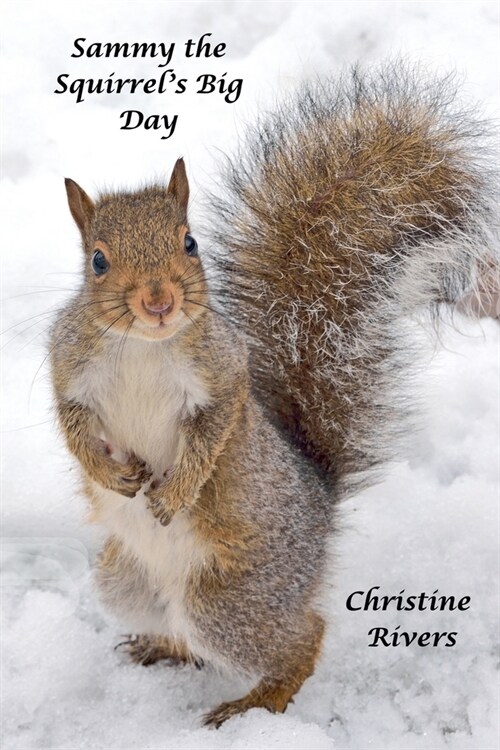 Sammy the Squirrels Big Day (Paperback)