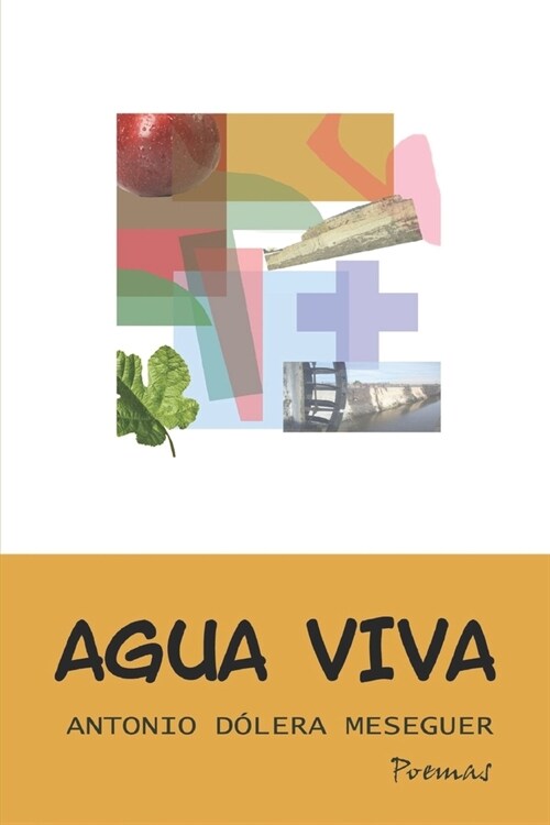 Agua viva (Paperback)