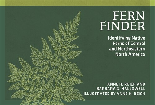 Fern Finder: Identifying Native Ferns of Central and Northeastern North America (Paperback, 3, Revised)