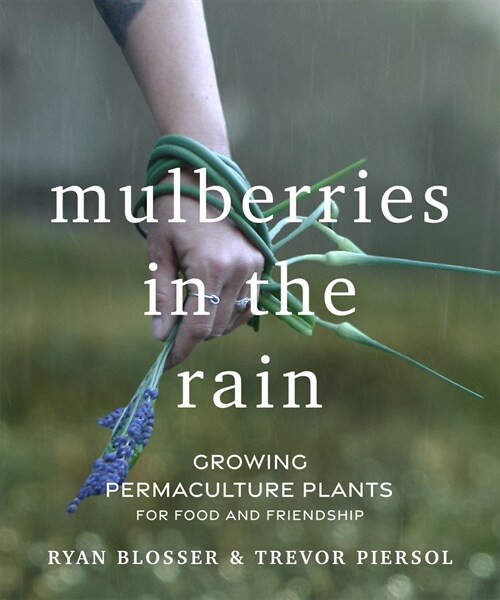 Mulberries in the Rain: Growing Permaculture Plants for Food and Friendship (Paperback)