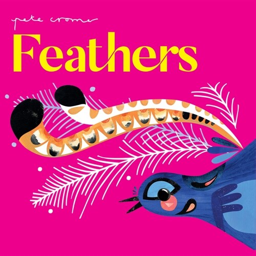 Pete Cromer: Feathers (Board Books)