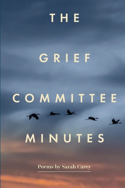 The Grief Committee Minutes (Paperback)