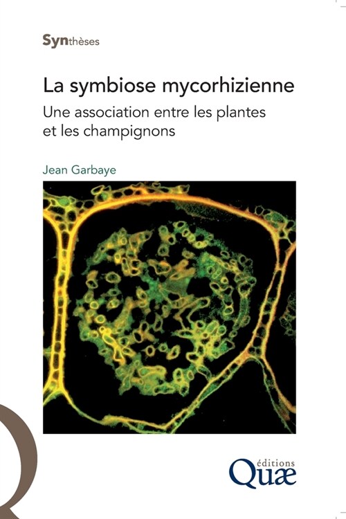 La symbiose mycorhizienne: Une association entre les plantes et les champignons. (Paperback)