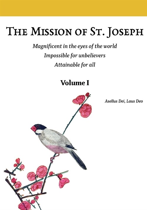 The Mission of St. Joseph. Volume I (color version): Magnificent in the eyes of the world. Impossible for unbelievers. Attainable for all (Paperback)