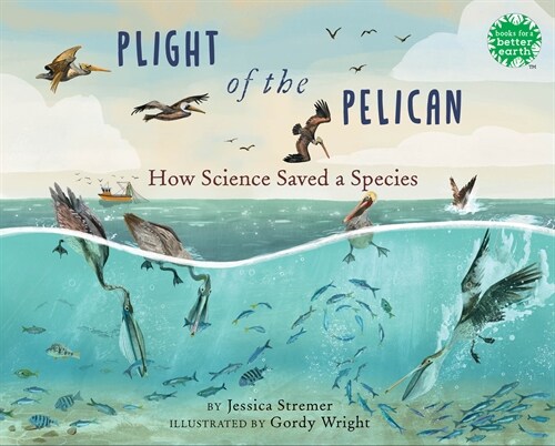 Plight of the Pelican: How Science Saved a Species (Hardcover)