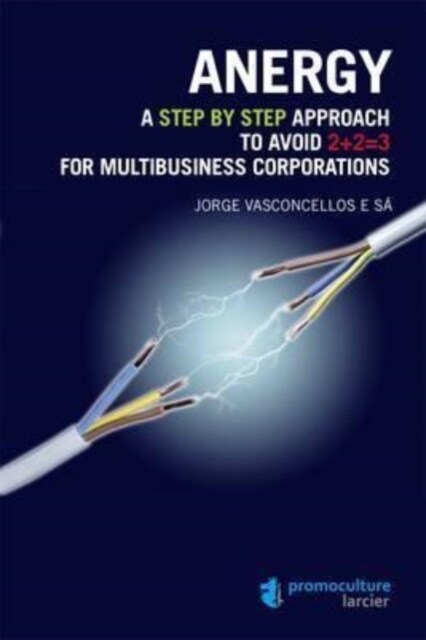 Anergy : A Step by Step Approach to Avoid 2+2=3 for Multibusiness Corporations (Paperback)