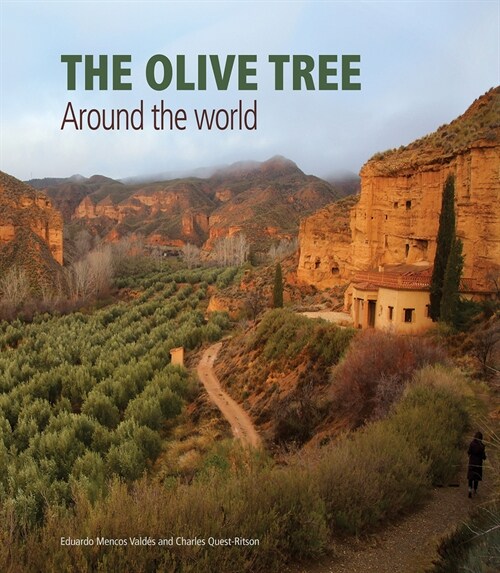 The Olive Tree : Around the World (Hardcover)