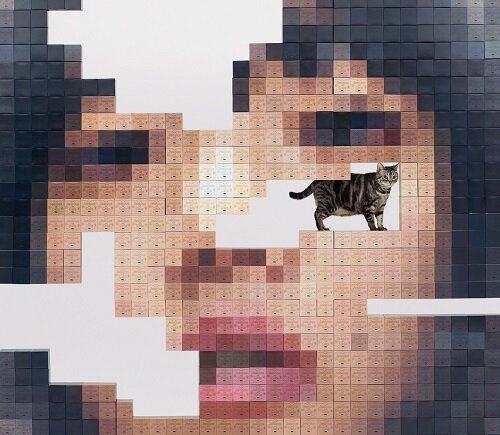 [수입] Aimyon [あいみょん](아이묭) - 정규앨범 Jealous of Cats [猫にジェラシ-] [CD (일본 수입반) + 2 DVD (초회한정반)]