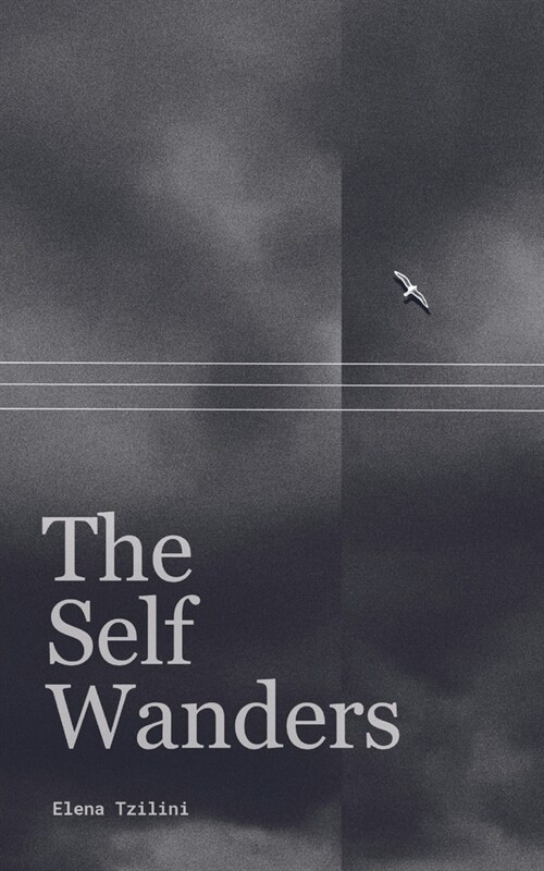 The Self Wanders (Paperback)