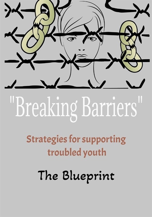 Breaking Barriers The Blueprint: Strategies For Supporting Troubled Youth 101 (Paperback)