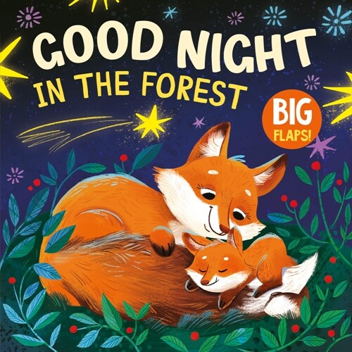 Good Night in the Forest (Board Books)