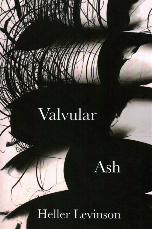 Valvular Ash (Paperback)