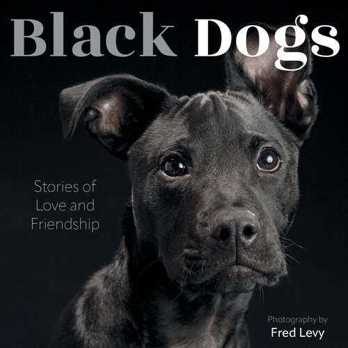 Black Dogs: Stories of Love and Friendship (Hardcover)