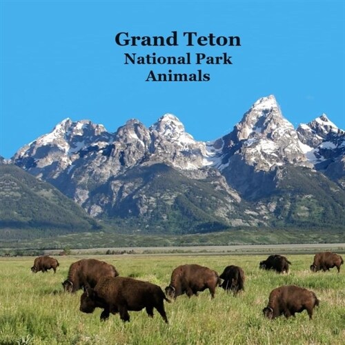 Grand Teton National Park Animals Kids Book: Great Way for Children to See the Grand Teton National Park Animals (Paperback)