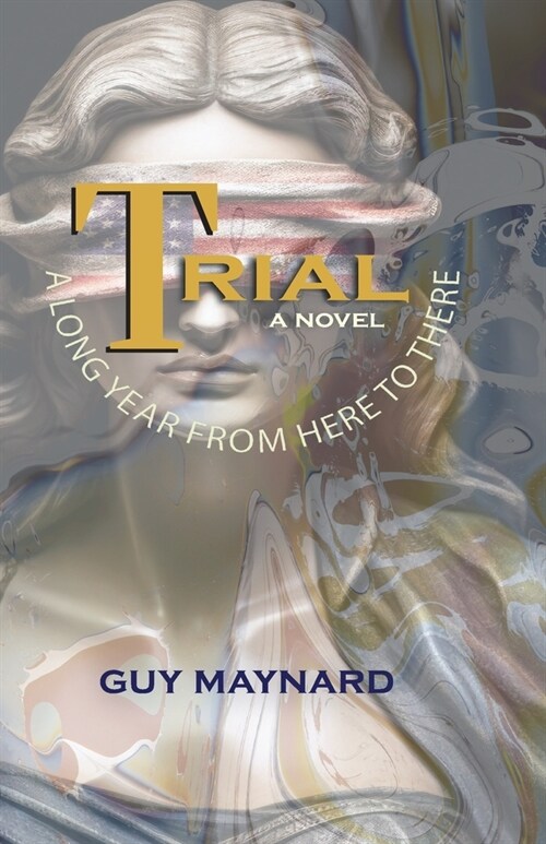 Trial: A Long Year from Here to There (Paperback)