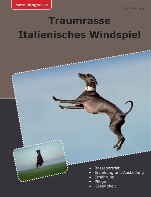 Traumrasse Italienisches Windspiel (Paperback)