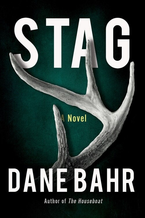 Stag (Paperback)