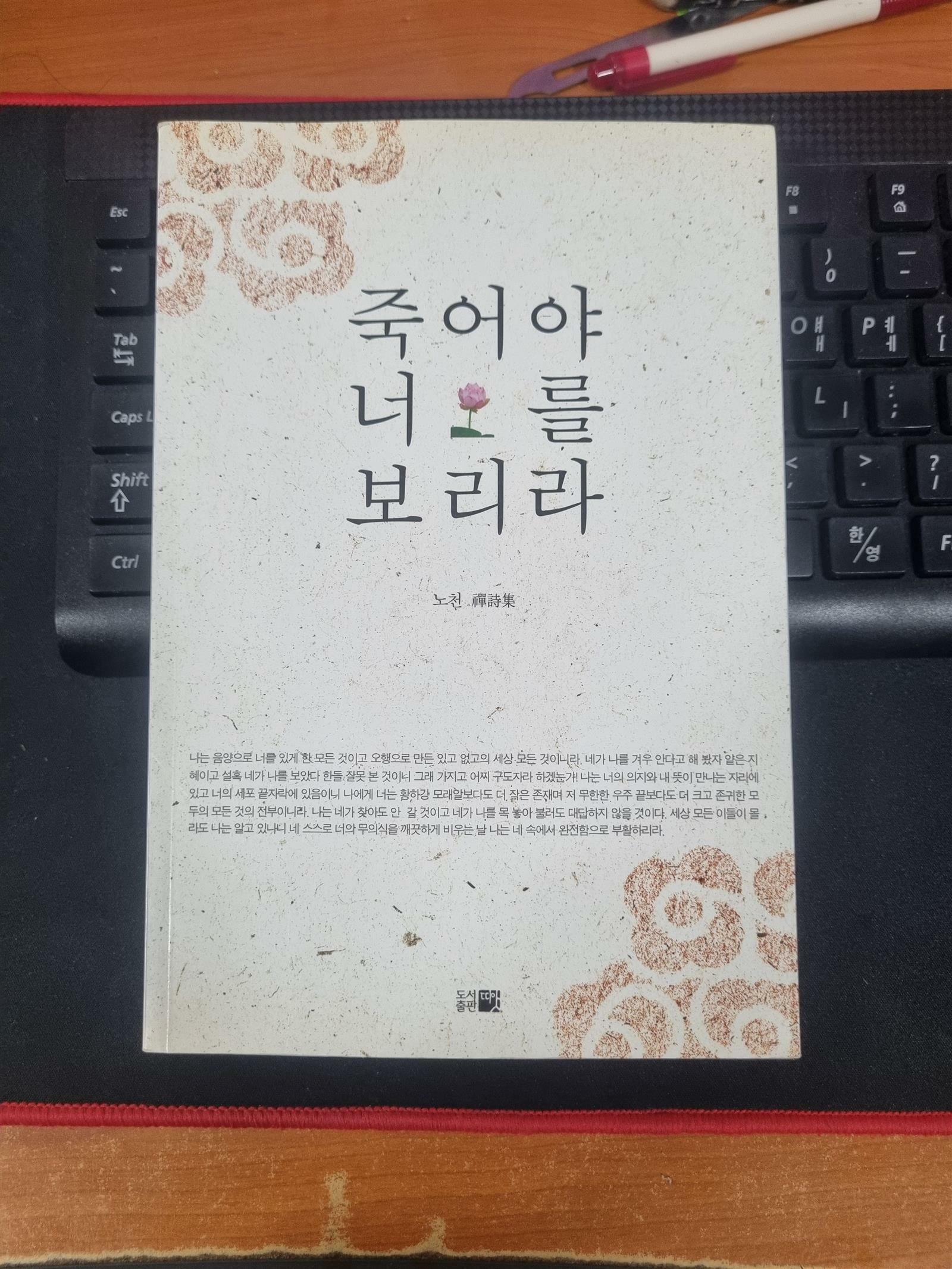 [중고] 죽어야 너를 보리라