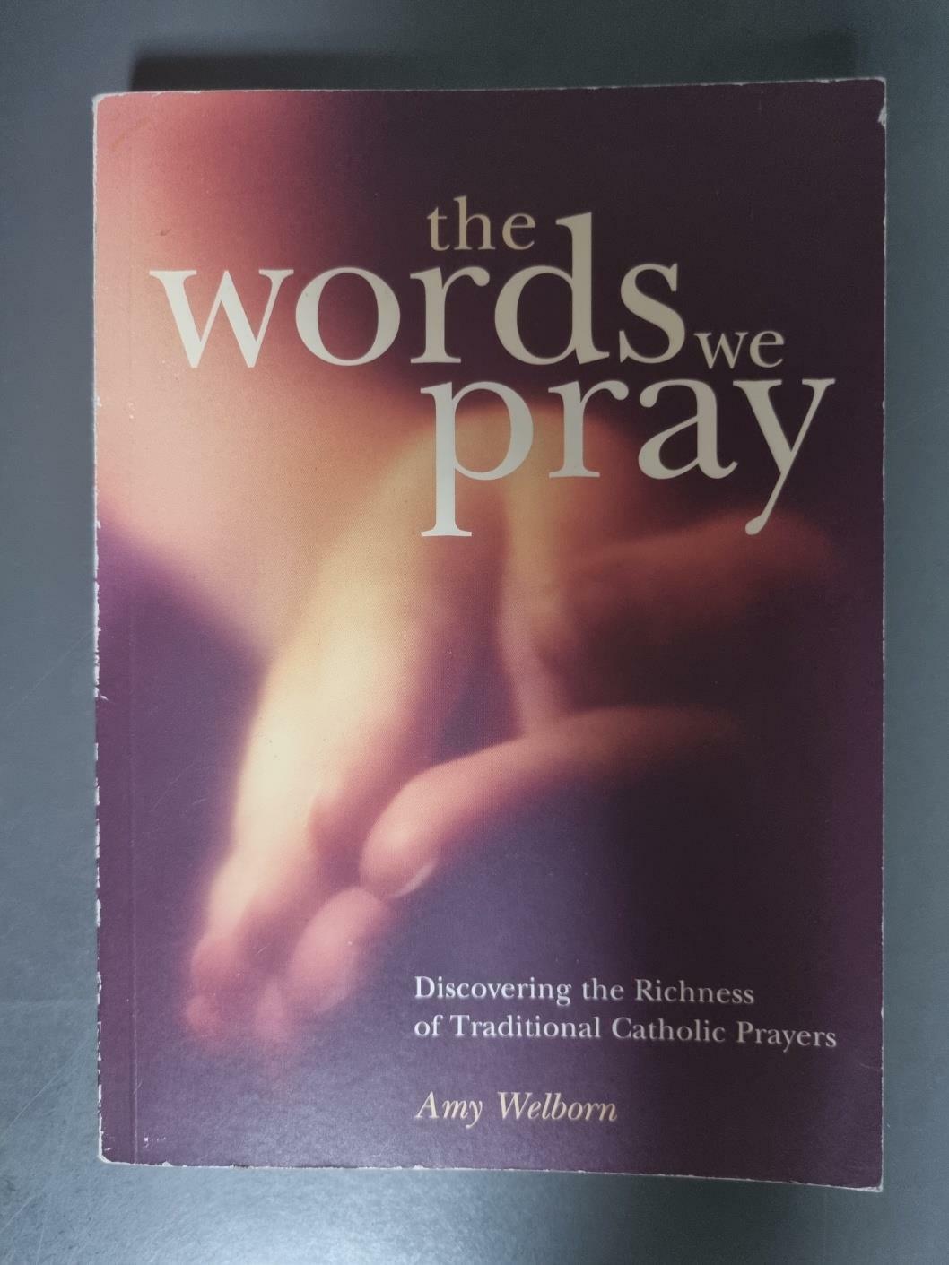 [중고] The Words We Pray: Discovering the Richness of Traditional Catholic Prayers (Paperback)