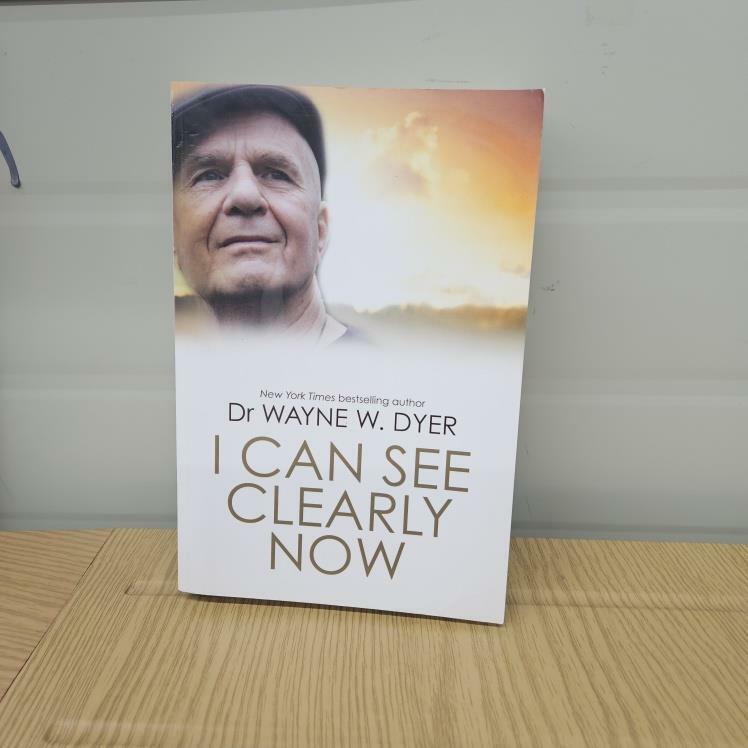 [중고] I Can See Clearly Now (Paperback)