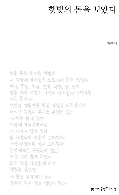 햇빛의 몸을 보았다