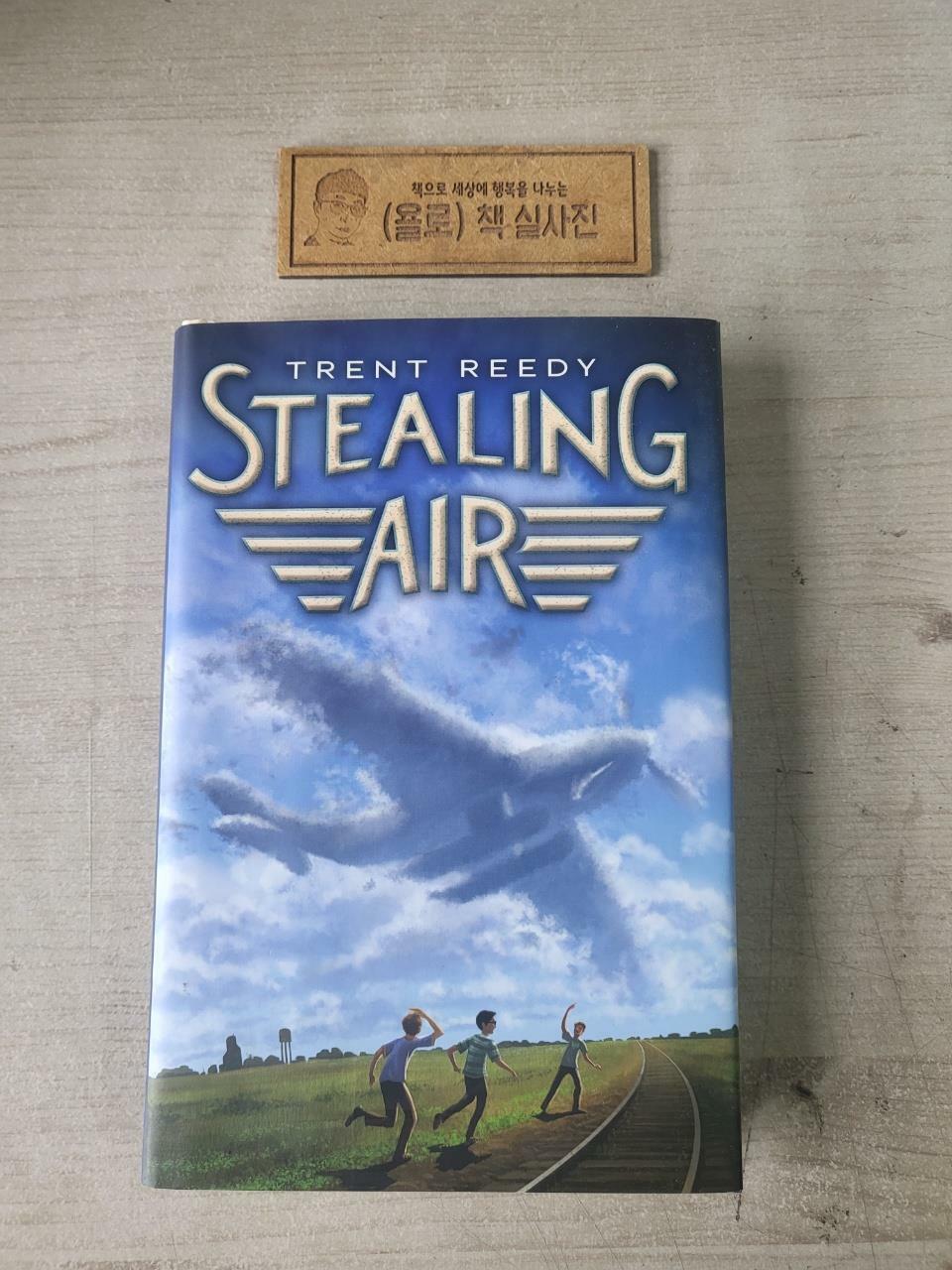 [중고] Stealing Air (Hardcover, 1st)